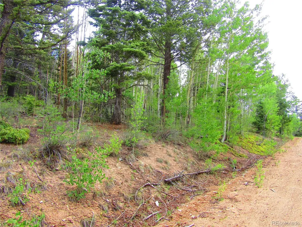 Lot 6850 Ryland Road San Luis CO 81152