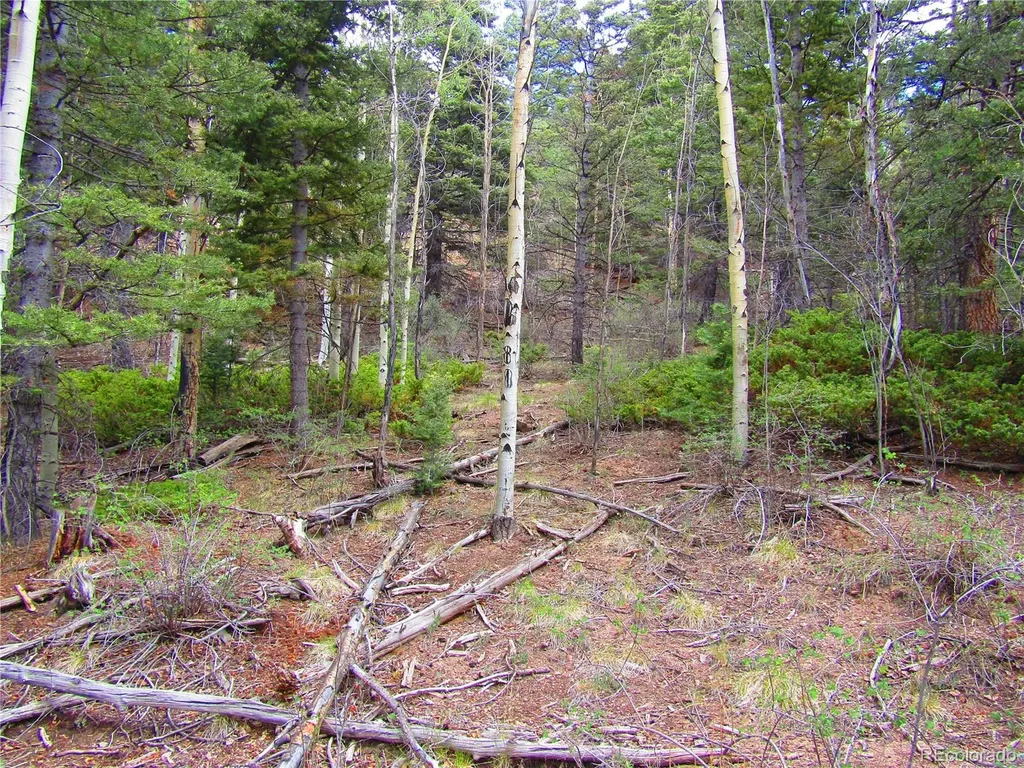 Lot 6850 Ryland Road San Luis CO 81152