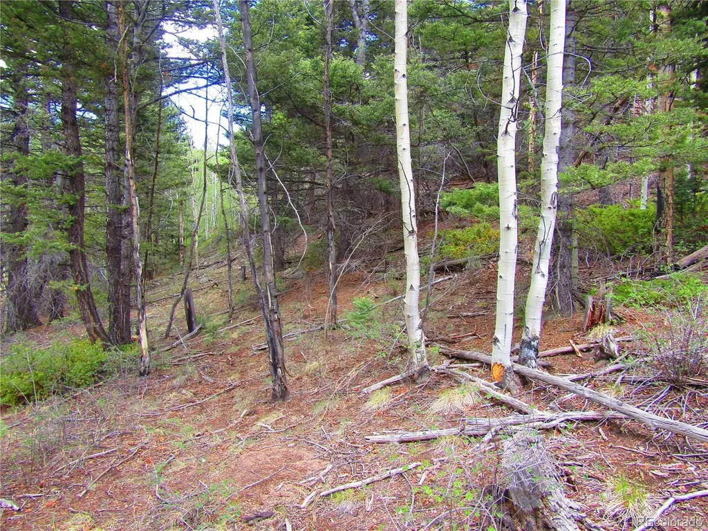 Lot 6850 Ryland Road San Luis CO 81152