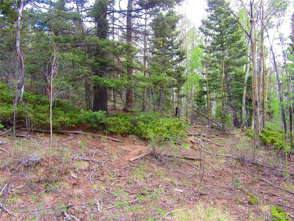Lot 6850 Ryland Road San Luis CO 81152