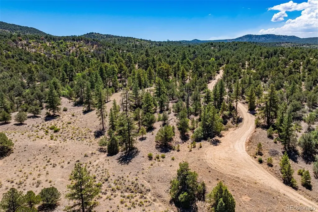 948 White Wing Way Cotopaxi CO 81223