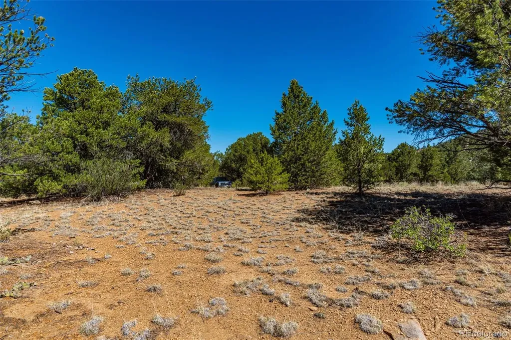 948 White Wing Way Cotopaxi CO 81223