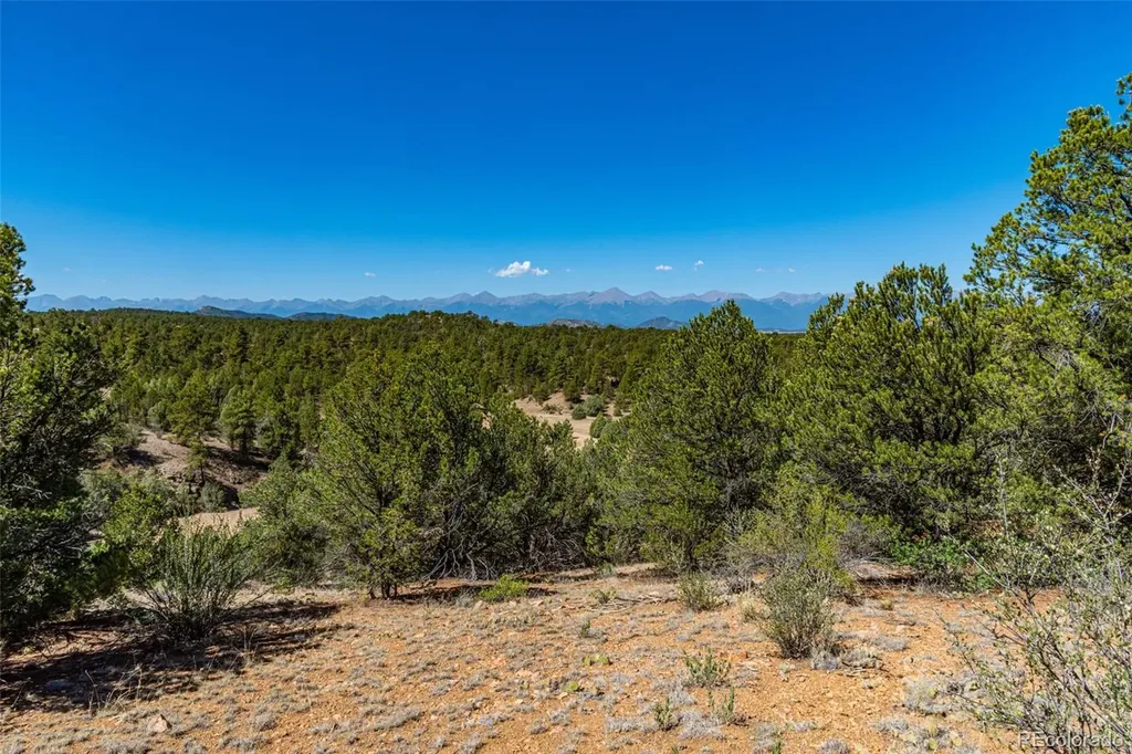948 White Wing Way Cotopaxi CO 81223