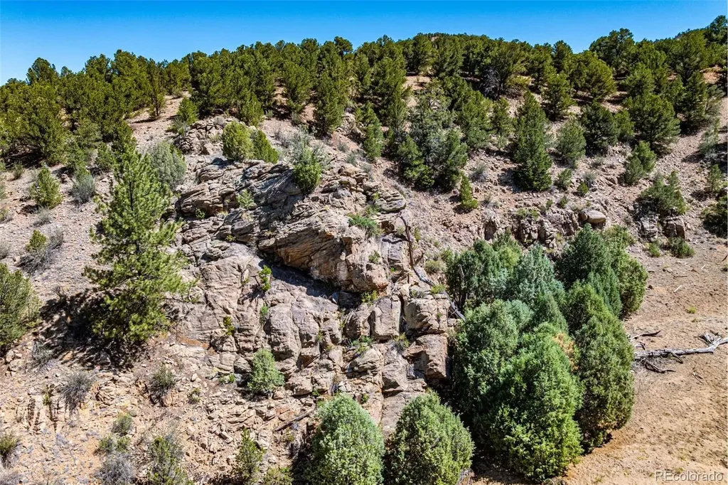 948 White Wing Way Cotopaxi CO 81223