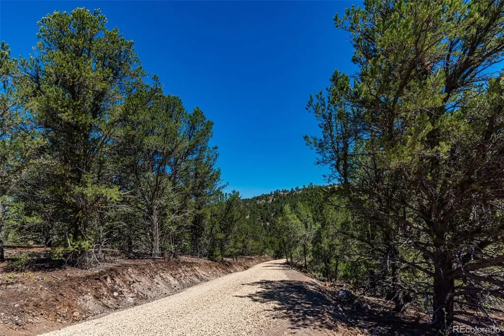 948 White Wing Way Cotopaxi CO 81223