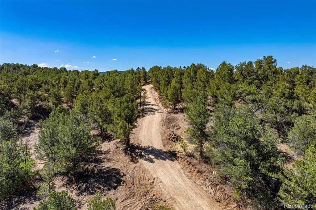948 White Wing Way Cotopaxi CO 81223