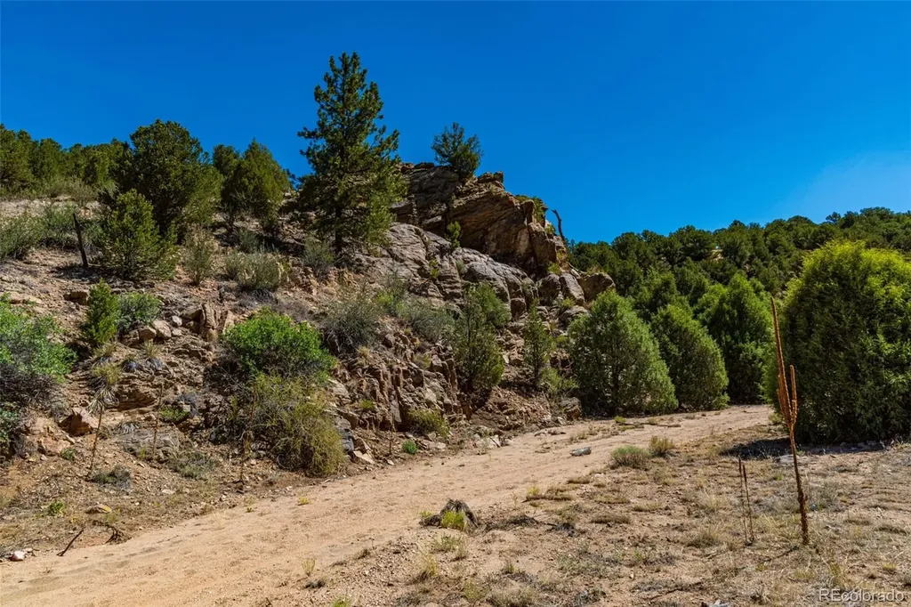 948 White Wing Way Cotopaxi CO 81223