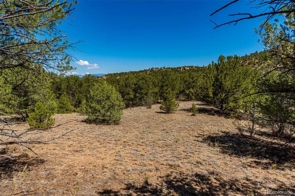948 White Wing Way Cotopaxi CO 81223
