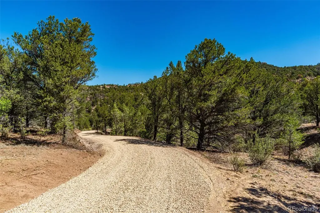948 White Wing Way Cotopaxi CO 81223