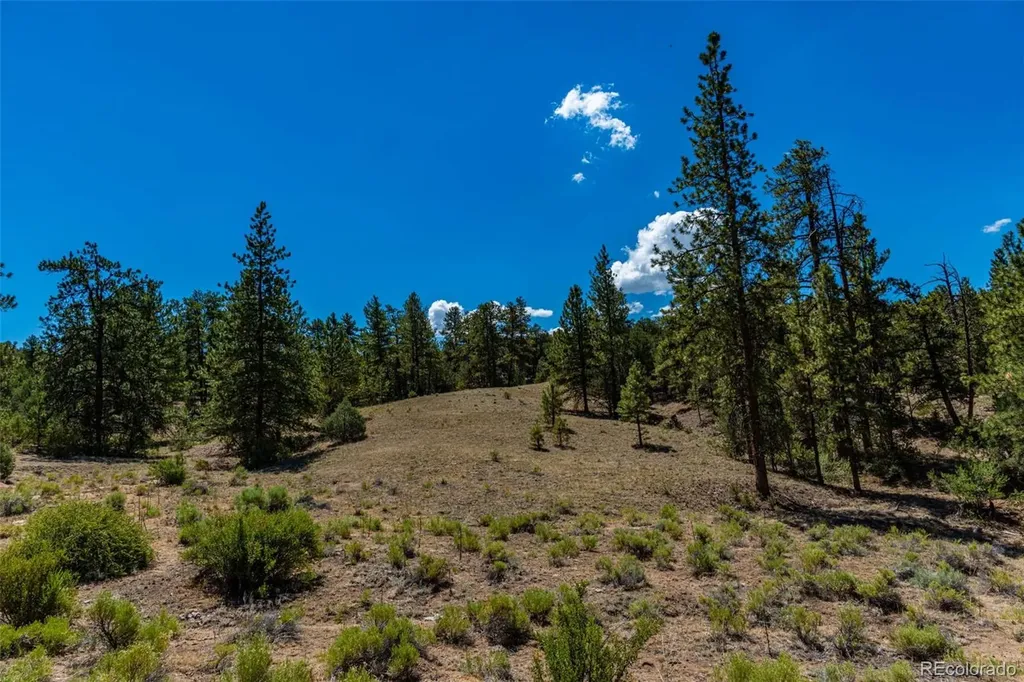 948 White Wing Way Cotopaxi CO 81223