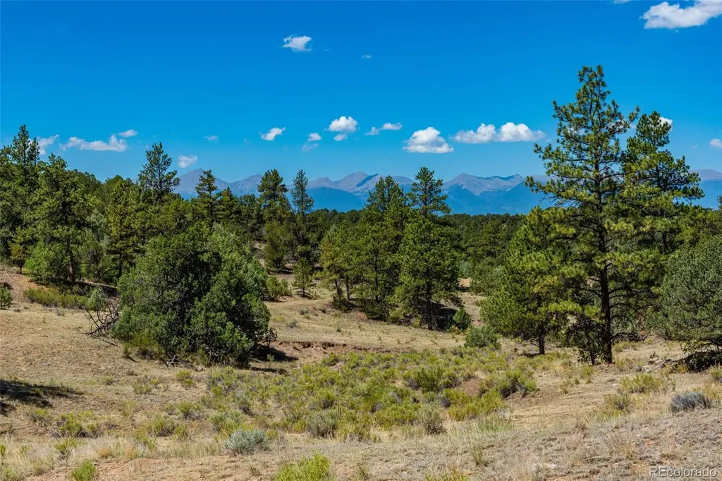948 White Wing Way Cotopaxi CO 81223
