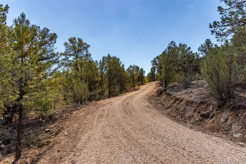 948 White Wing Way Cotopaxi CO 81223