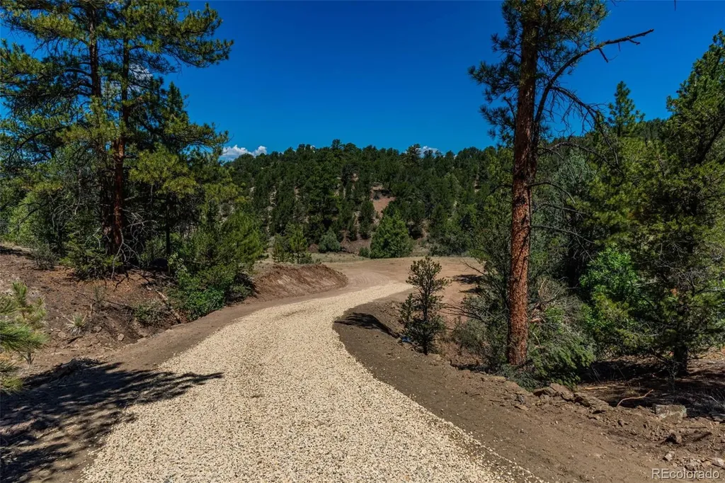 948 White Wing Way Cotopaxi CO 81223