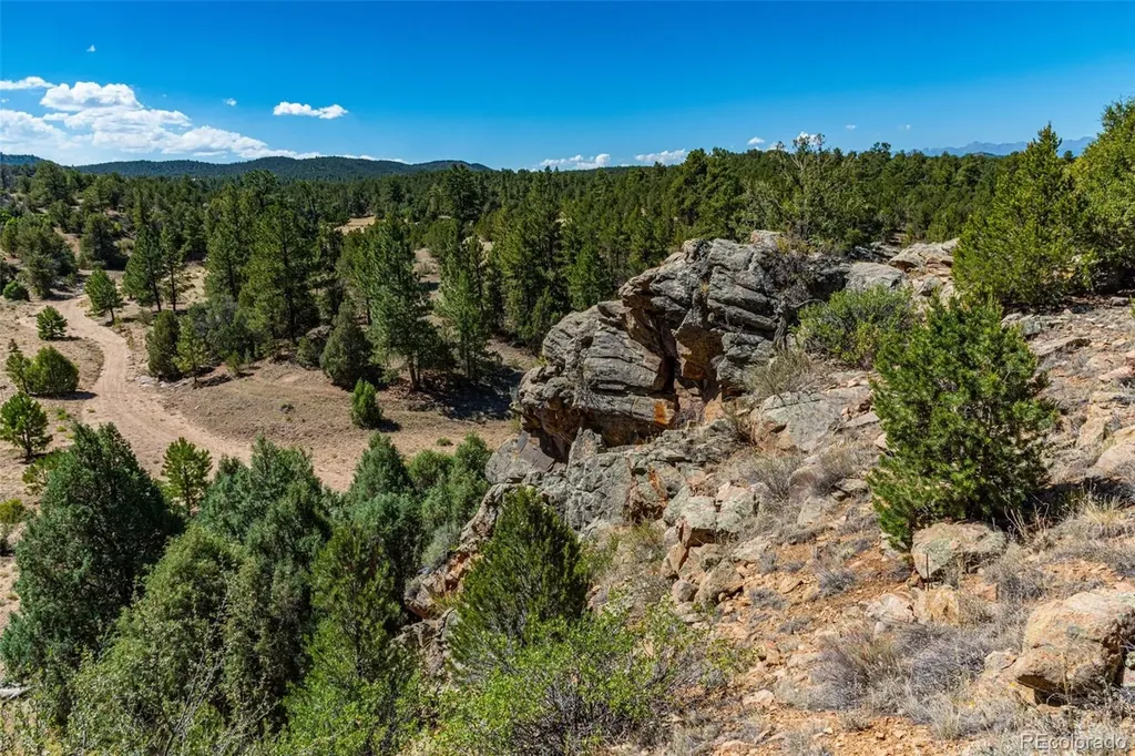 948 White Wing Way Cotopaxi CO 81223