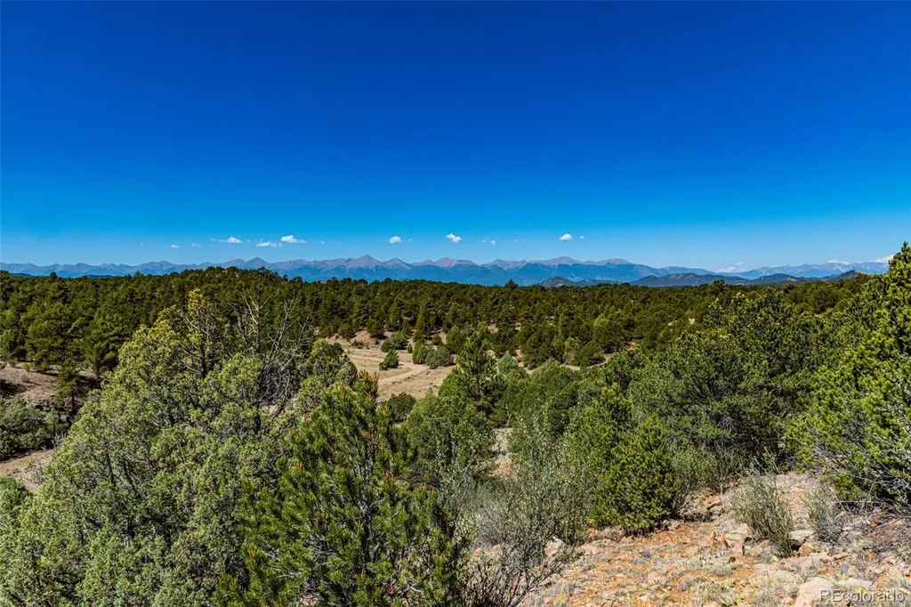 948 White Wing Way Cotopaxi CO 81223