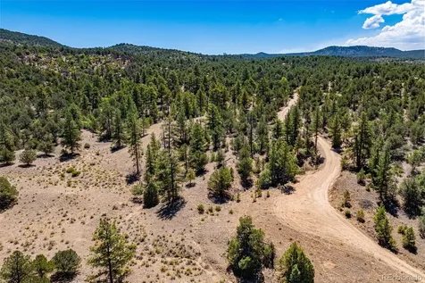 948 White Wing Way Cotopaxi CO 81223
