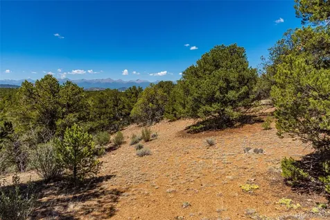 948 White Wing Way Cotopaxi CO 81223