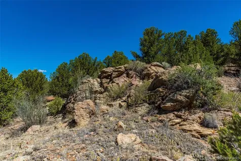 948 White Wing Way Cotopaxi CO 81223