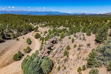 948 White Wing Way Cotopaxi CO 81223