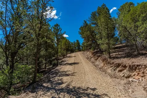948 White Wing Way Cotopaxi CO 81223
