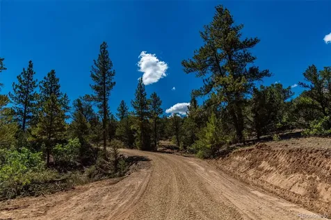 948 White Wing Way Cotopaxi CO 81223