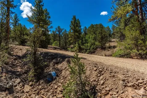 948 White Wing Way Cotopaxi CO 81223