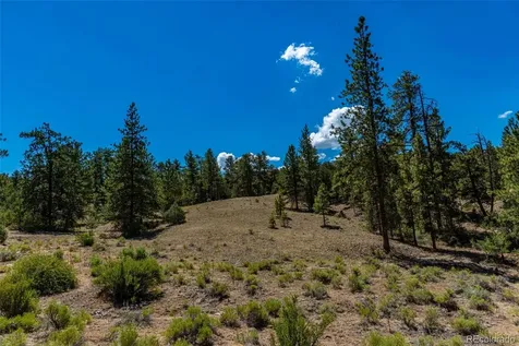 948 White Wing Way Cotopaxi CO 81223