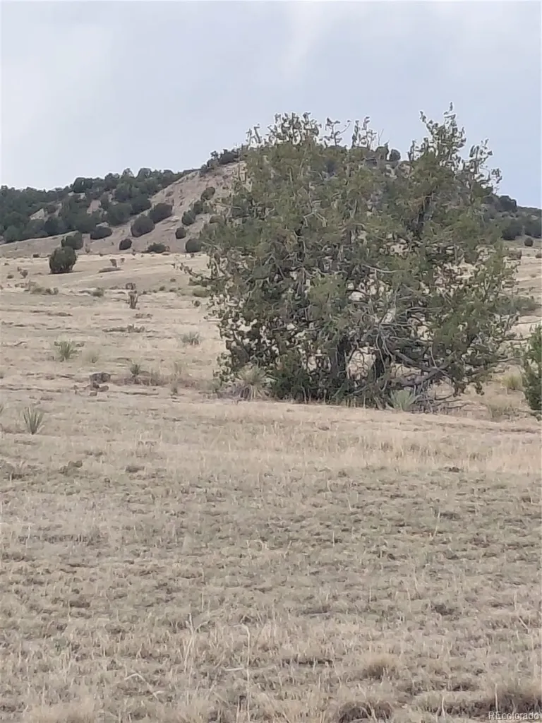 Par 62 Horse Creek Road Pueblo CO 81004