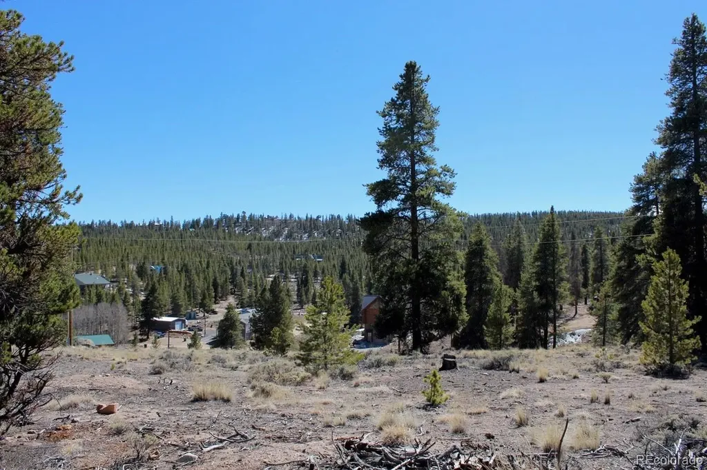104 Cedar Drive Twin Lakes CO 80461