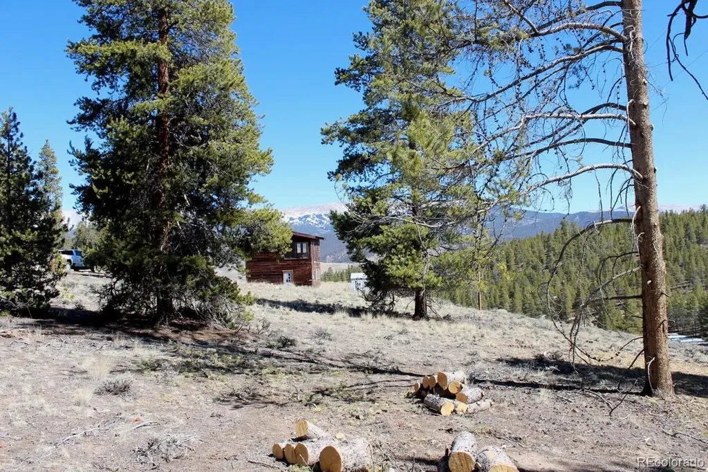 104 Cedar Drive Twin Lakes CO 80461