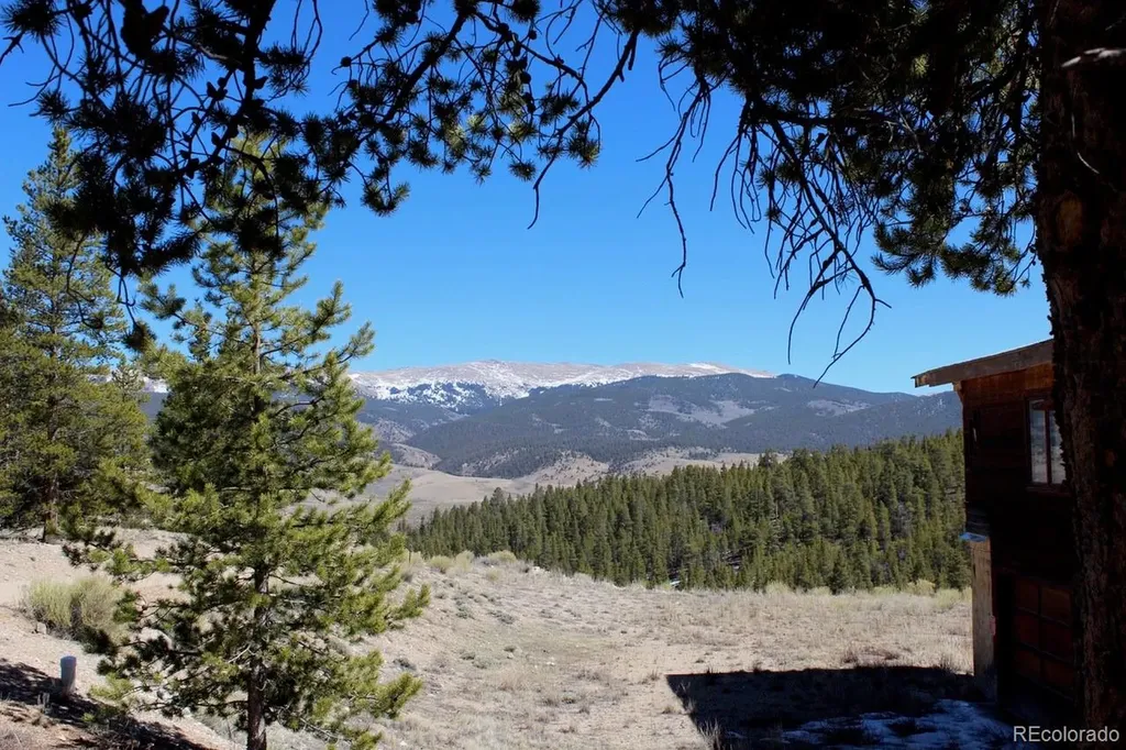 104 Cedar Drive Twin Lakes CO 80461
