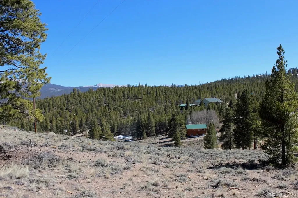 104 Cedar Drive Twin Lakes CO 80461