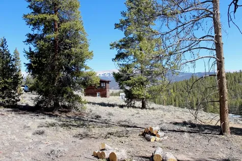 104 Cedar Drive Twin Lakes CO 80461