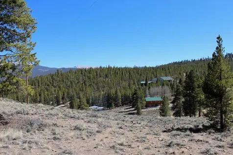 104 Cedar Drive Twin Lakes CO 80461