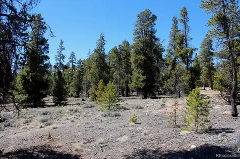 104 Cedar Drive Twin Lakes CO 80461