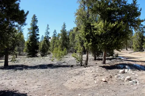 104 Cedar Drive Twin Lakes CO 80461