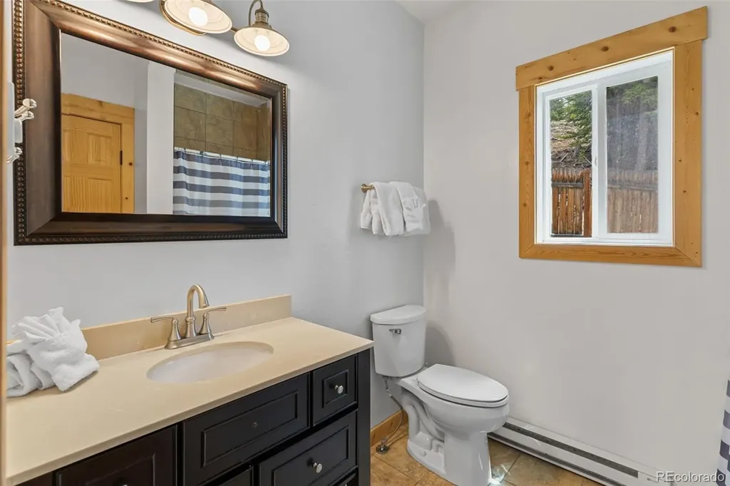 52 Coot Place Alma CO 80420