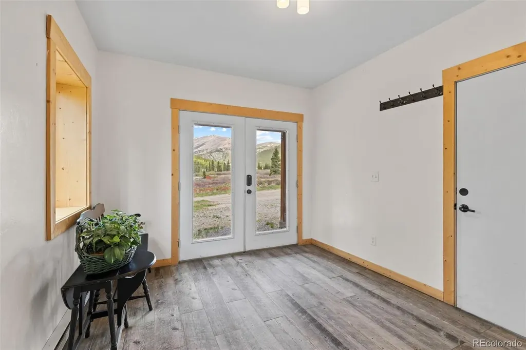 52 Coot Place Alma CO 80420