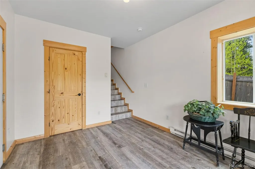 52 Coot Place Alma CO 80420