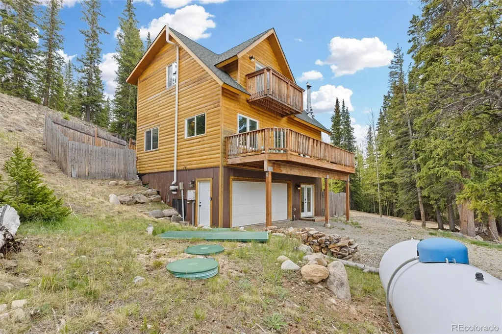 52 Coot Place Alma CO 80420