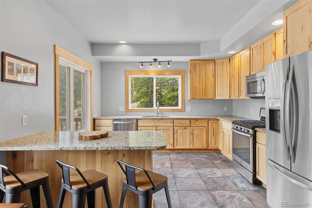 52 Coot Place Alma CO 80420