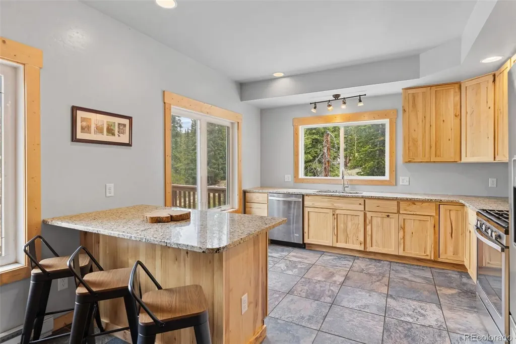 52 Coot Place Alma CO 80420