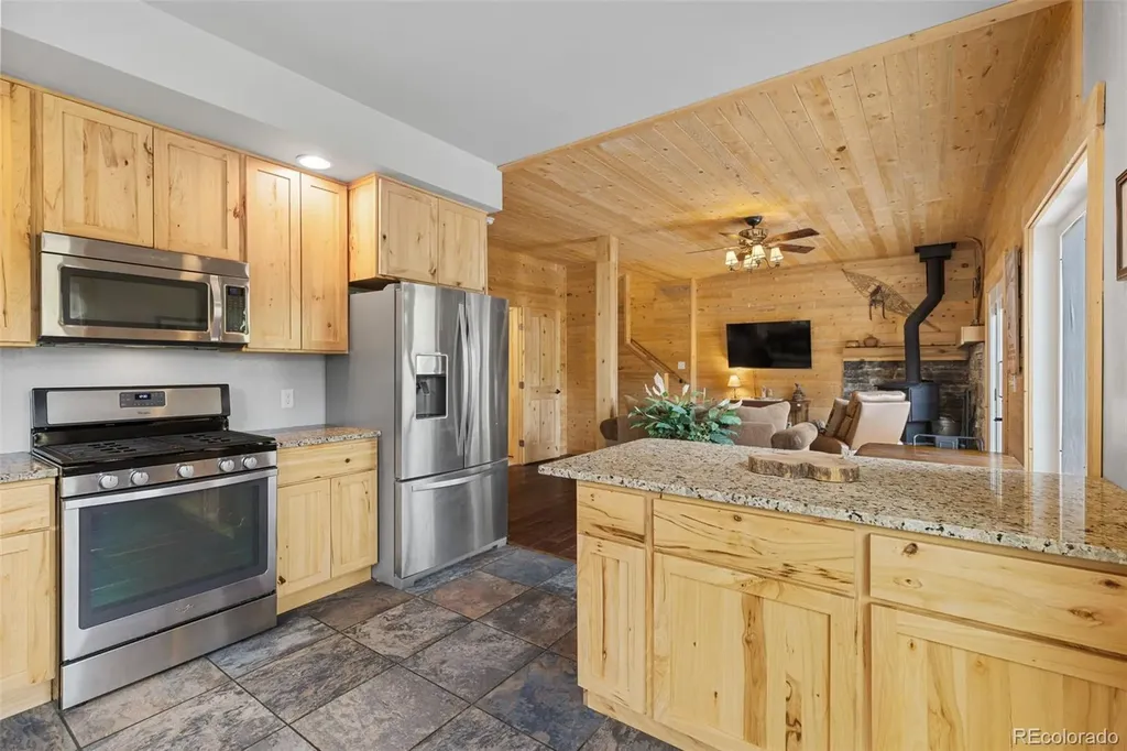 52 Coot Place Alma CO 80420