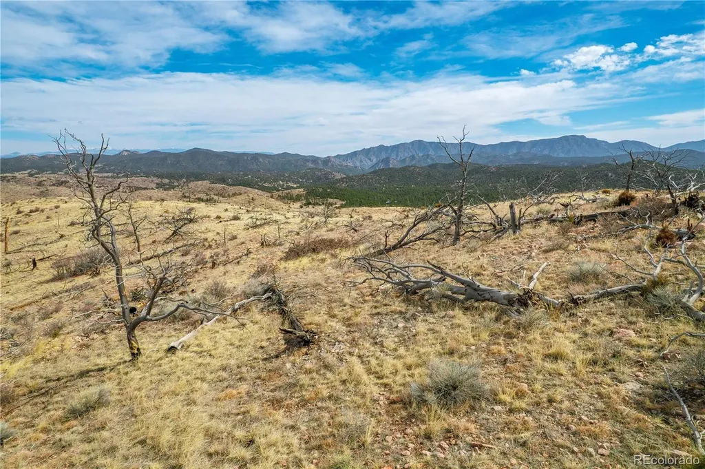 31ST Trail Cotopaxi CO 81223