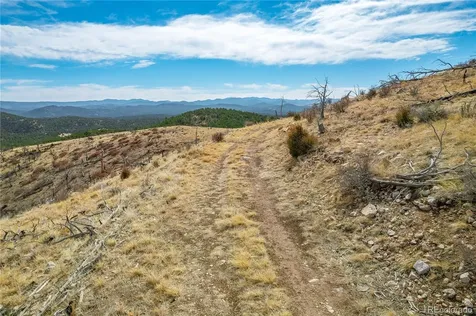 31ST Trail Cotopaxi CO 81223
