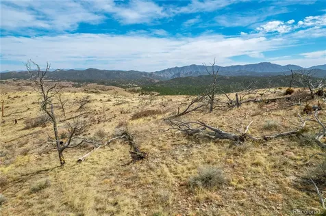 31ST Trail Cotopaxi CO 81223