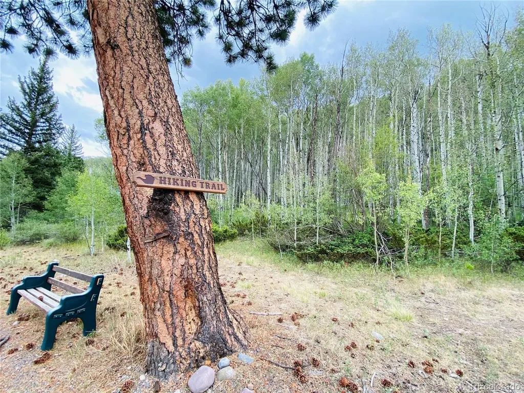 172 Elk Meadow Run Antonito CO 81120