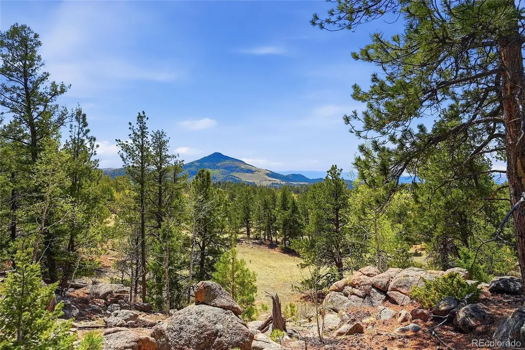 7070 Cr 1 Cripple Creek CO 80813