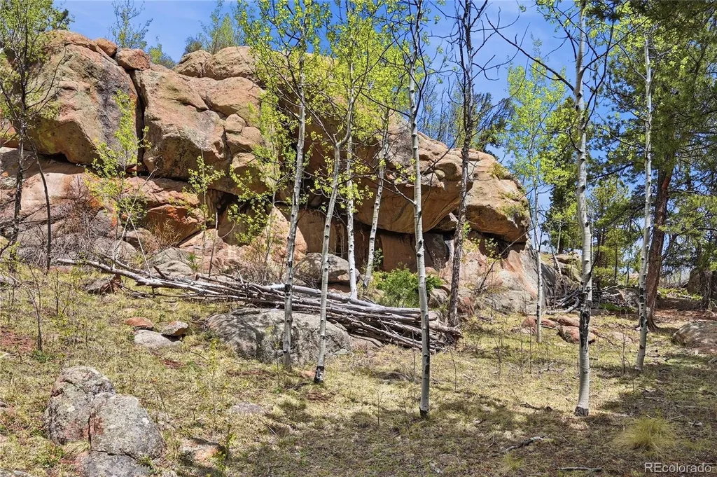 7070 Cr 1 Cripple Creek CO 80813
