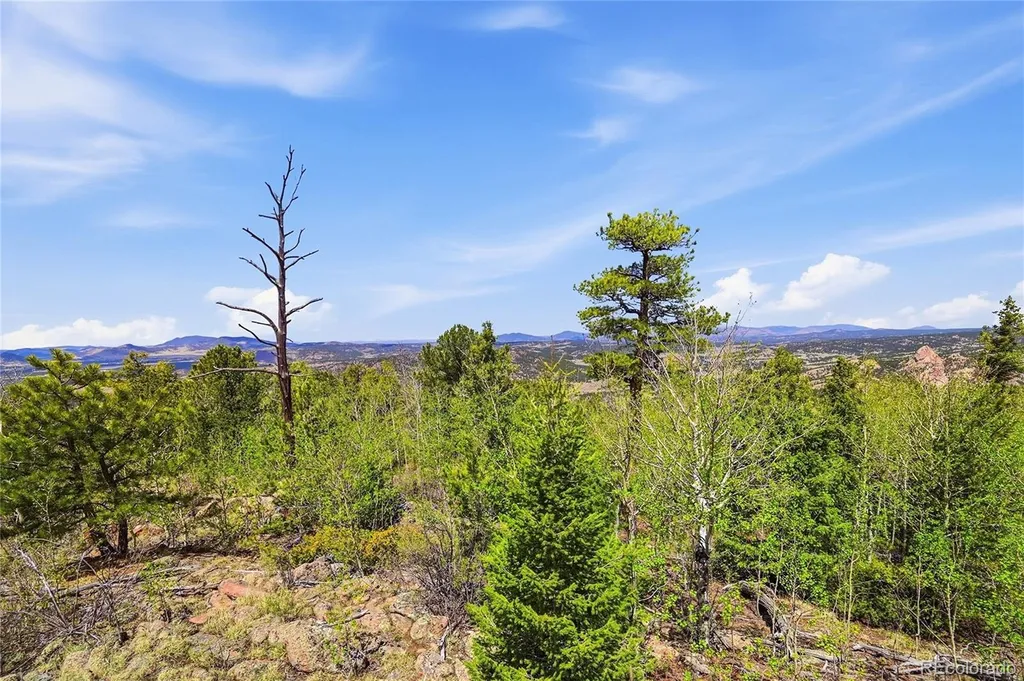 7070 Cr 1 Cripple Creek CO 80813